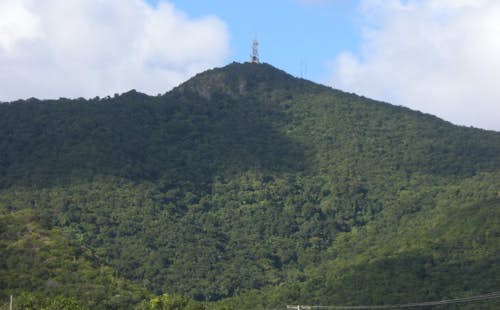 Half-day Hike to the top of Mount Obama, the highest point in Antigua