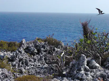 Half-day Hike and rappel from a cave by the sea in Cayman Brac, Cayman Islands