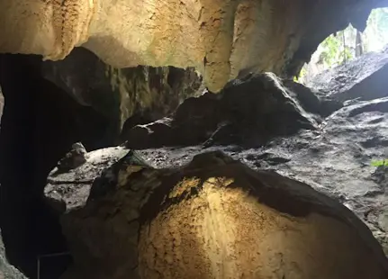 Visit the Mount Tamana Bat Caves in Trinidad with a local guide, Day trip from Port of Spain