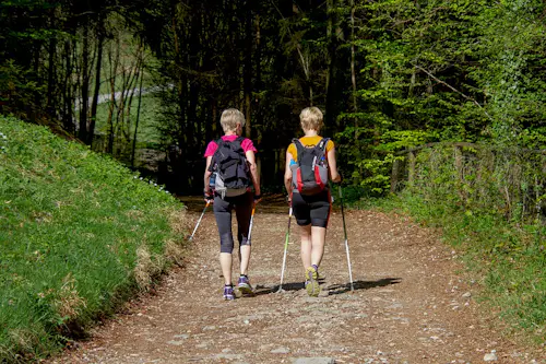 Nordic walking para principiantes en el Parque Natural de Montserrat, cerca de Barcelona (Media jornada)