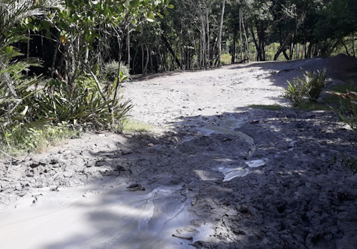 Hike to the L’eau Michel Mud Volcano in Trinidad & Tobago, Day trip from Port of Spain