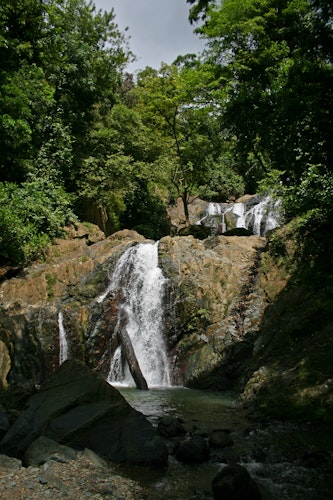 Argyle Falls, Hike to Tobago’s highest waterfall and swim in the natural rock pools, near Roxborough (Half-day)