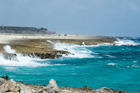 Hike to the highest point in Bonaire on the Subi Brandaris Trail in the Washington Slagbaai National Park