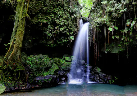 Nocturnal canyoning tour in Dominica, from Roseau