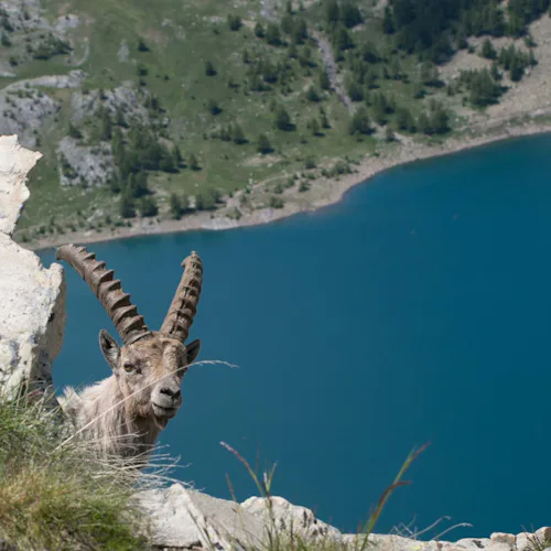 Day hike to Allos Lake (Lac d'Allos) in the Mercantour National Park