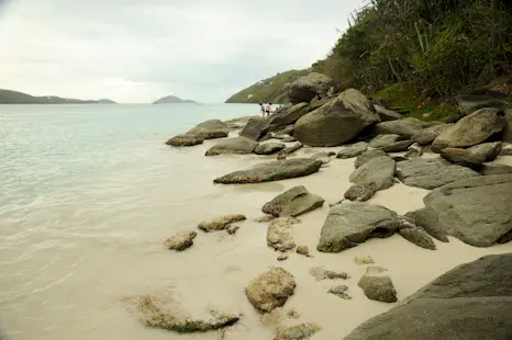 Experience St. Thomas’ coastal via ferrata in the U.S. Virgin Islands (Half-day)