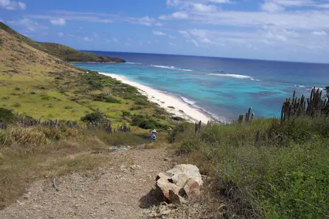 Hike to the top of Goat Hill in St. Croix, Half-day hike from Cramers Park Beach