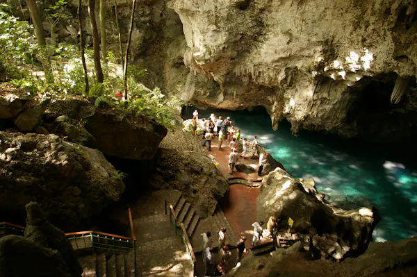 Explore the caves and lagoons in “The 3 Eyes” National Park, near Santo Domingo (Half-day) | Dominican Republic