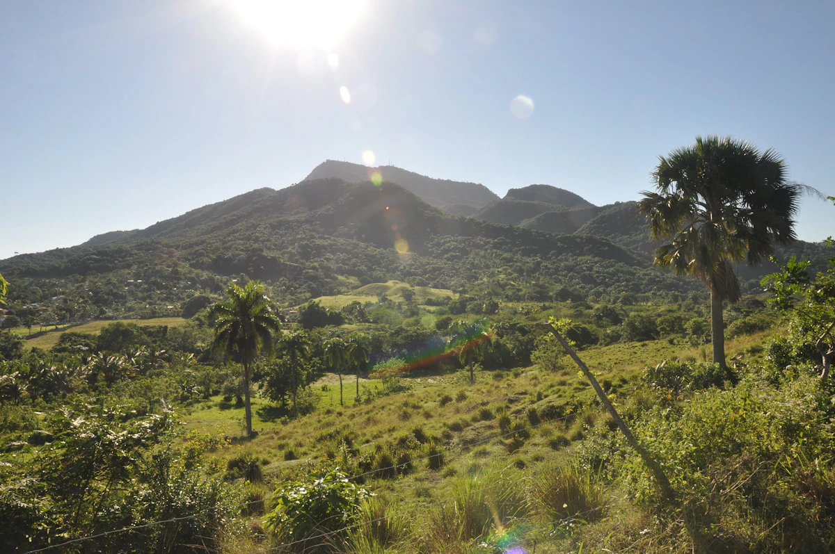 Horseback riding in the countryside around Pico Isabel de Torres, from Puerto Plata (Half-day)