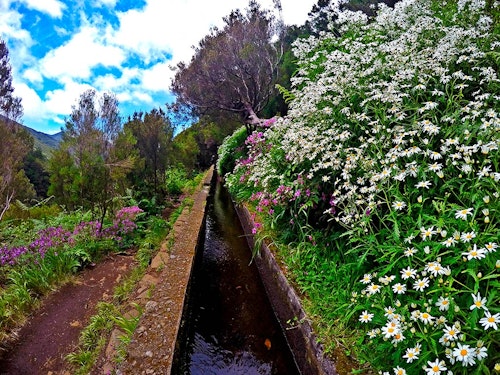 Easy day hike in Madeira from Rabaçal to the 25 Fontes waterfalls