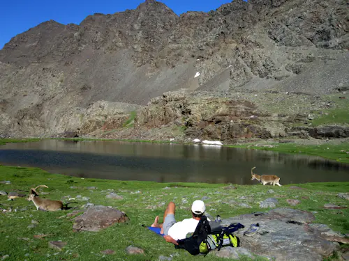 Trekking de 6 días en la Sierra Nevada con cumbres en Veleta (3,398m) y Mulhacén (3,487m), desde Güéjar Sierra