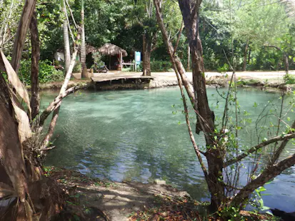 Randonnée d'une demi-journée dans le parc national d'El Choco, près de Cabarete