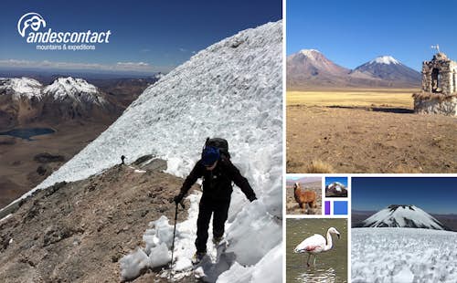 Climb the Pomerape volcano (6,280m), 9-day Expedition in the Chilean Altiplano