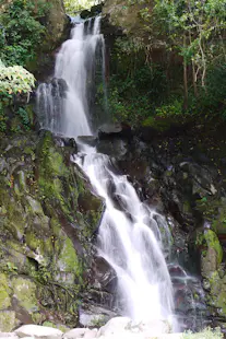 Half-day Hike to the “Lost Waterfalls” from Boquete, Panama