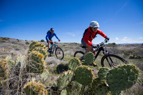 Mountain biking the Black Canyon Trail, 5-day Guided tour from Phoenix