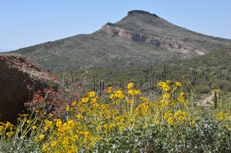 Half-day hike to Balanced Rock in the McDowell Sonoran Preserve, near Sedona