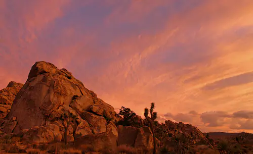 1-day multi-pitch rock climbing course in the Joshua Tree National Park