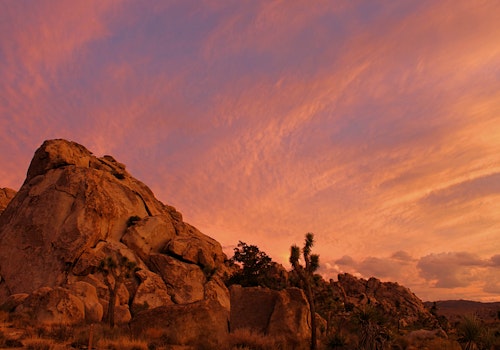 1-day multi-pitch rock climbing course in the Joshua Tree National Park