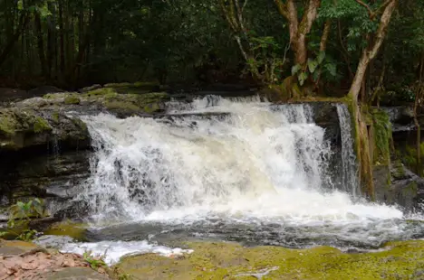 Visit the waterfalls in Presidente Figueiredo and walk to the “Gruta do Refugio” cave in the jungle, near Manaus