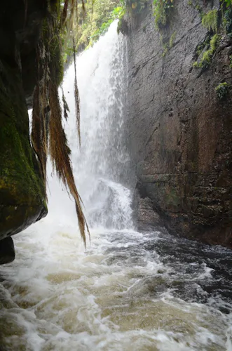 Visit the waterfalls in Presidente Figueiredo and walk to the Gruta do Refugio cave in the jungle, near Manaus 2