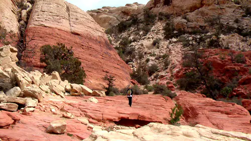 Half-day Hike on the Calico Tanks Trail in Red Rock Canyon, near Las Vegas
