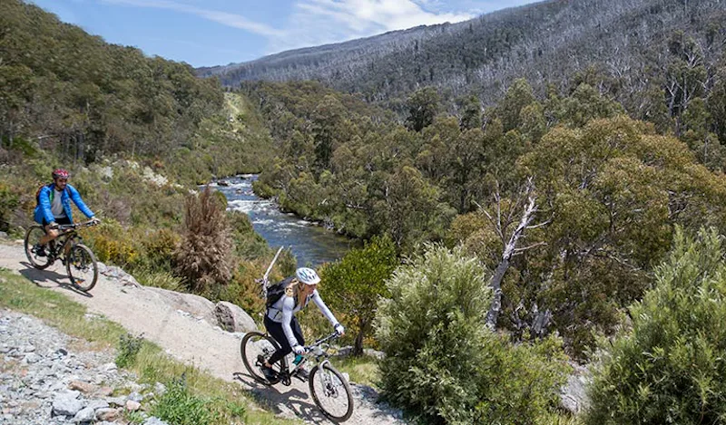 Mountain Bike at Thredbo, Australia