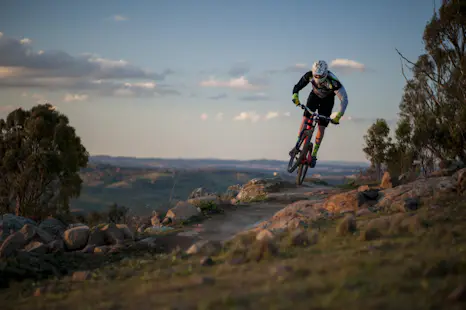 Mountain biking on the trails in the Stromlo Forest Park in Canberra (Half-day)