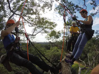 Tree climbing on the mighty “Samaúma” in the Amazon, Day trip from Manaus