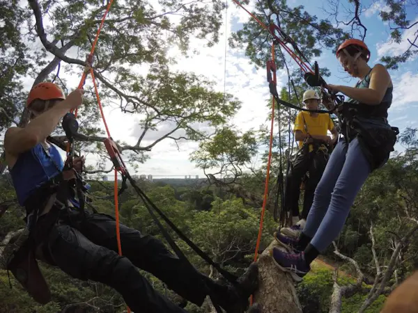 Tree climbing on the mighty "Samaúma" in the Amazon, Day trip from Manaus