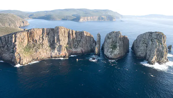 Kayaking day tour along the Tasman National Park to Cape Huay, from Hobart | undefined