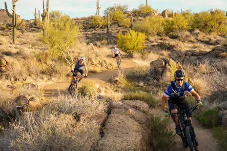 Half-day Mountain biking tour in Scottsdale, from Brown’s Ranch Trailhead