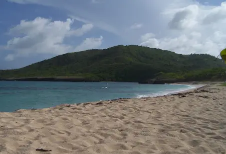 Discover the wild Atlantic Coast in Martinique, Day hike