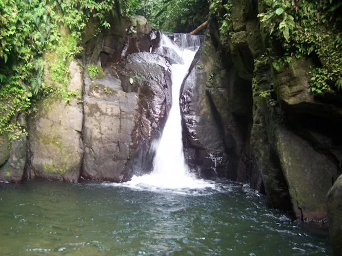 Day hike in a tropical rainforest from Absalon to the Fontaine Didier waterfall in Martinique 1