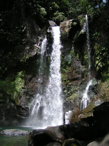 Day hike in a tropical rainforest from Absalon to the Fontaine Didier waterfall in Martinique 3