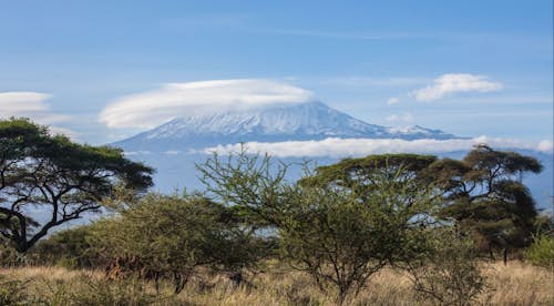 Mount Kilimanjaro, 10-day Expedition to “the roof of Africa” with acclimatization, via the Machame Route