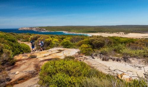 Karloo Walking Track, Day hike in the Royal National Park, near Sydney
