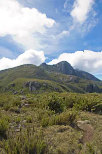 Day hike to the summit of Pico da Bandeira (2,892m) in the Caparaó National Park