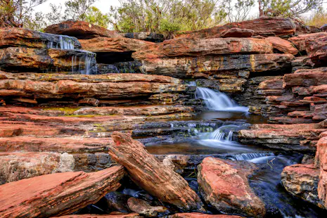 Half-day Hike to Joffre Falls in the Karijini National Park