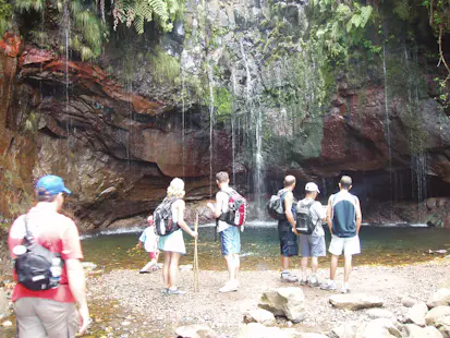 Half-day hike from Rabaçal to 25 Fontes and the Risco Waterfall, Madeira