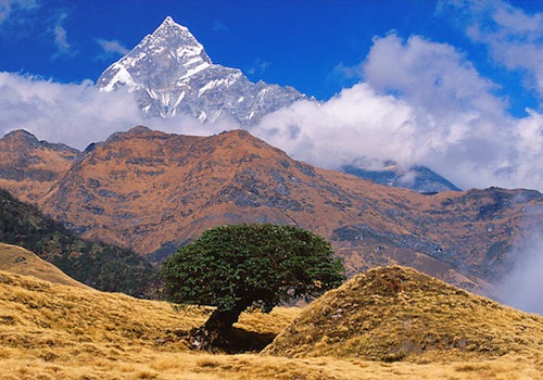 9-day Mardi Himal Trek in the Annapurna Region, Nepal
