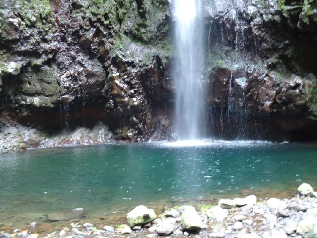 Excursión de medio día desde el Bosque de Queimadas hasta la Levada do Caldeirão Verde, Madeira | undefined