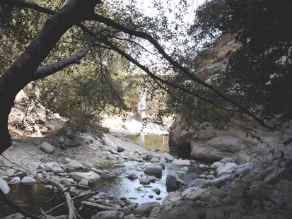 Family hike in the Eaton Canyon Natural Area Park and Nature Center, near Los Angeles (Half-day)