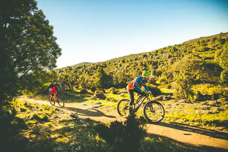 Multi-day Mountain biking tours in Blue Derby, from Launceston, Tasmania