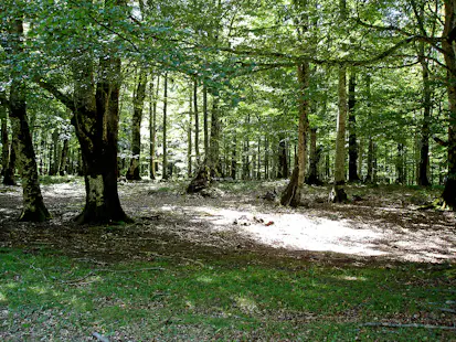 Orienteering in the mountains, 1-day Introductory course in the Urbasa Range, Navarra