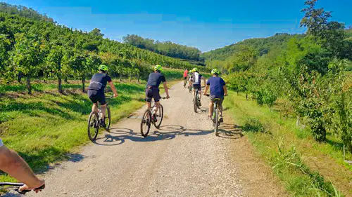 Circuits cyclistes dans la vallée de la Vipava, Slovénie (1-8 jours)