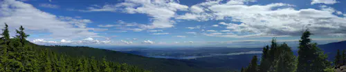 Hike up Dog Mountain in Vancouver with a local guide (half-day)