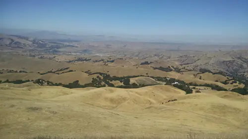 Hike to the summit of Mission Peak, near San Francisco (Half-day)