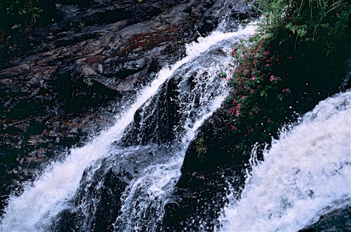 Half-day hike through the jungle to “El Fin del Mundo” waterfall in Mocoa