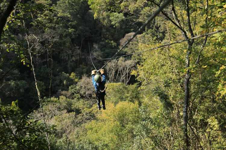 “Cape Canopy Tour”, 1-day Zip line adventure in the Hottentots Holland Mountains, near Cape Town