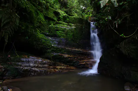 Hike to Colombia’s tallest waterfall: Cascada La Chorrera, Day trip from Bogotá